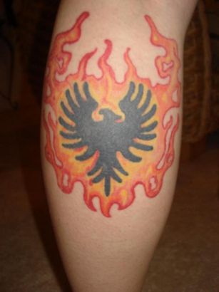 Tribal Phoenix Pic Tattoo On Calf